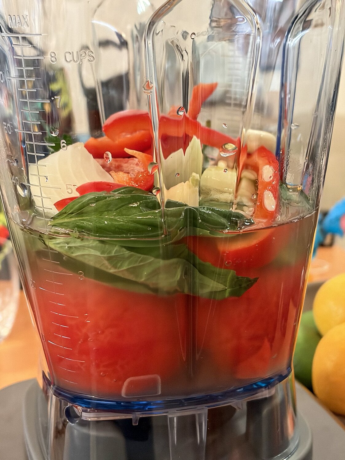 Fresh tomatoes, basil, onion, and aromatics in a blender
